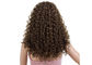 प्राकृतिक रंग वर्जिन बाल पूर्ण फीता विग अफ्रीकी काले छोटे रोल विस्फोट सिर आपूर्तिकर्ता